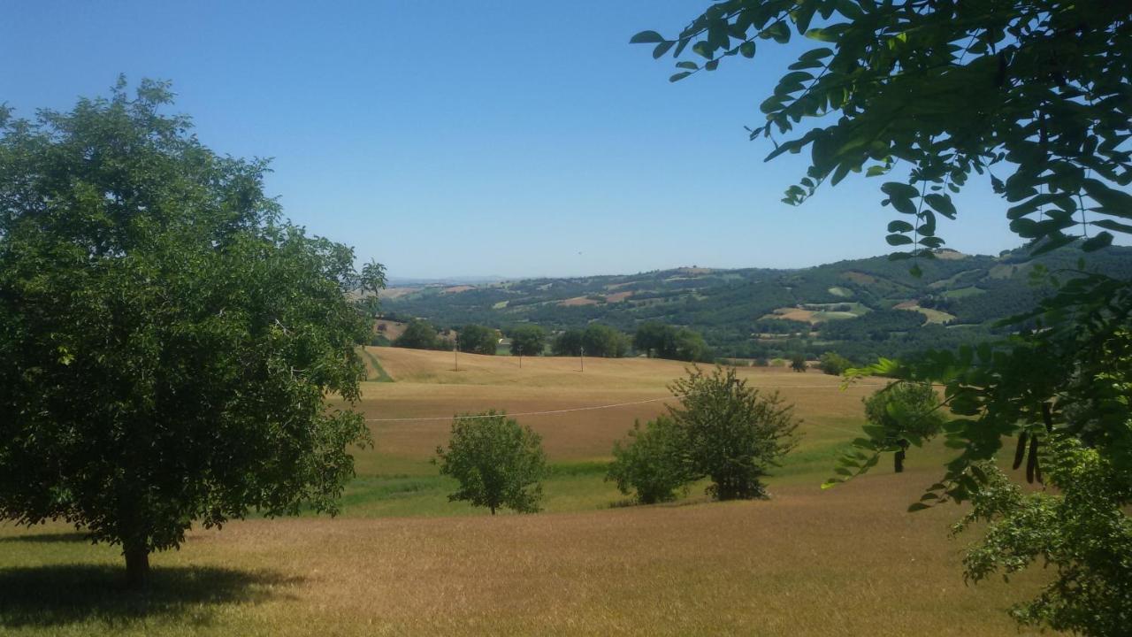 B & B La Primavera Pergola Kültér fotó