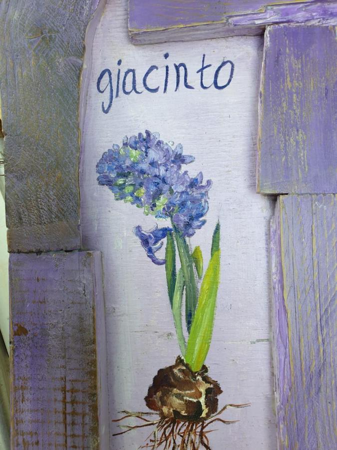 B & B La Primavera Pergola Kültér fotó