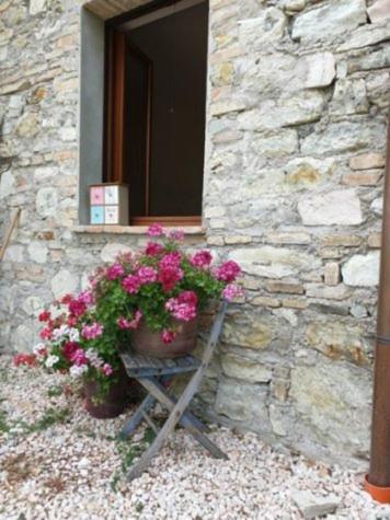 B & B La Primavera Pergola Kültér fotó
