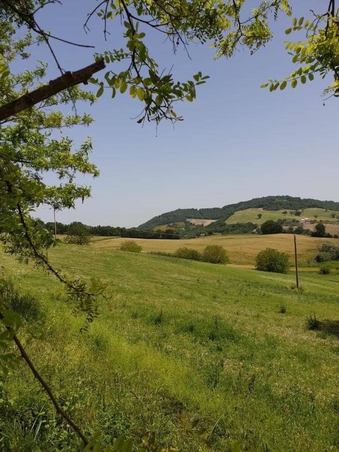 B & B La Primavera Pergola Kültér fotó